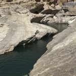IMG_6667
