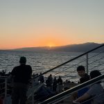 IMG_9318